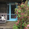 nz_sdinsel_2017_0012