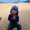 nz_sdinsel_2017_0014