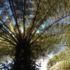 nz_sdinsel_2017_0021