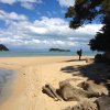 nz_sdinsel_2017_0024