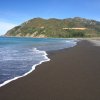 nz_sdinsel_2017_0036