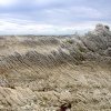 nz_sdinsel_2017_0042