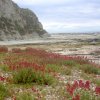 nz_sdinsel_2017_0044