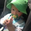 nz_sdinsel_2017_0046