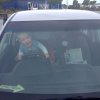 nz_sdinsel_2017_0047