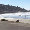 nz_sdinsel_2017_0051