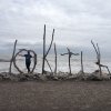 nz_sdinsel_2017_0057