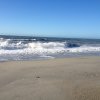 nz_sdinsel_2017_0067