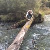 nz_sdinsel_2017_0080