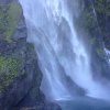 nz_sdinsel_2017_0086