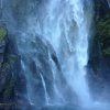 nz_sdinsel_2017_0087