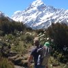 nz_sdinsel_2017_0105
