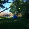 nz_sdinsel_2017_0110