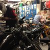 nz_sdinsel_2017_0131