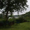 serengeti_02