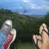 serengeti_12