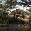 serengeti_13