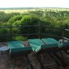 serengeti_24