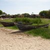 serengeti_29