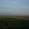 serengeti_35
