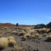 teneriffa_017