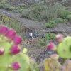 teneriffa_043