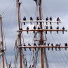 ueber_kiel_069