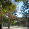 valencia_13